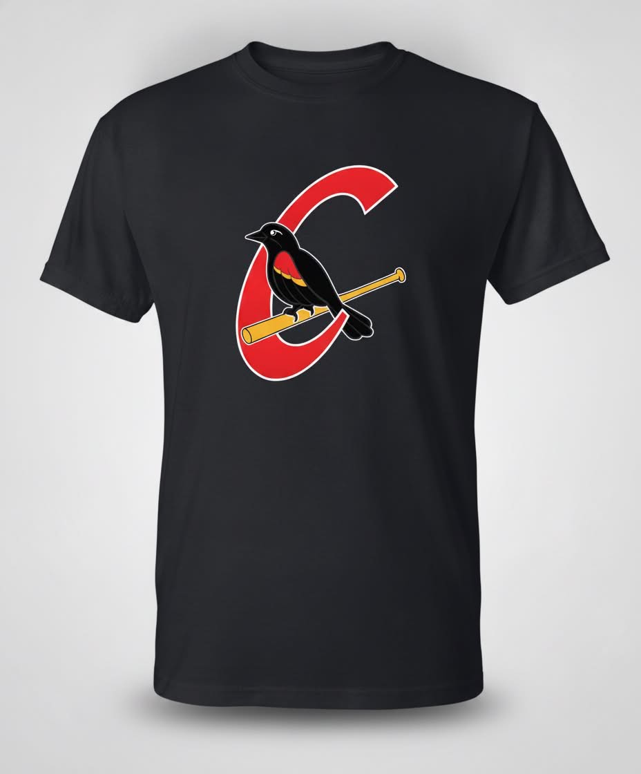 T-shirt Carouges