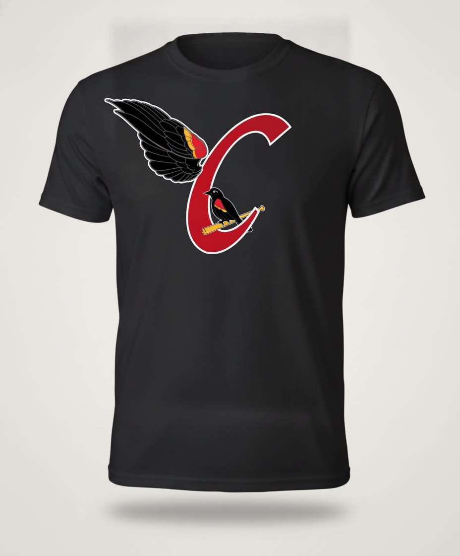 T-shirt Carouges
