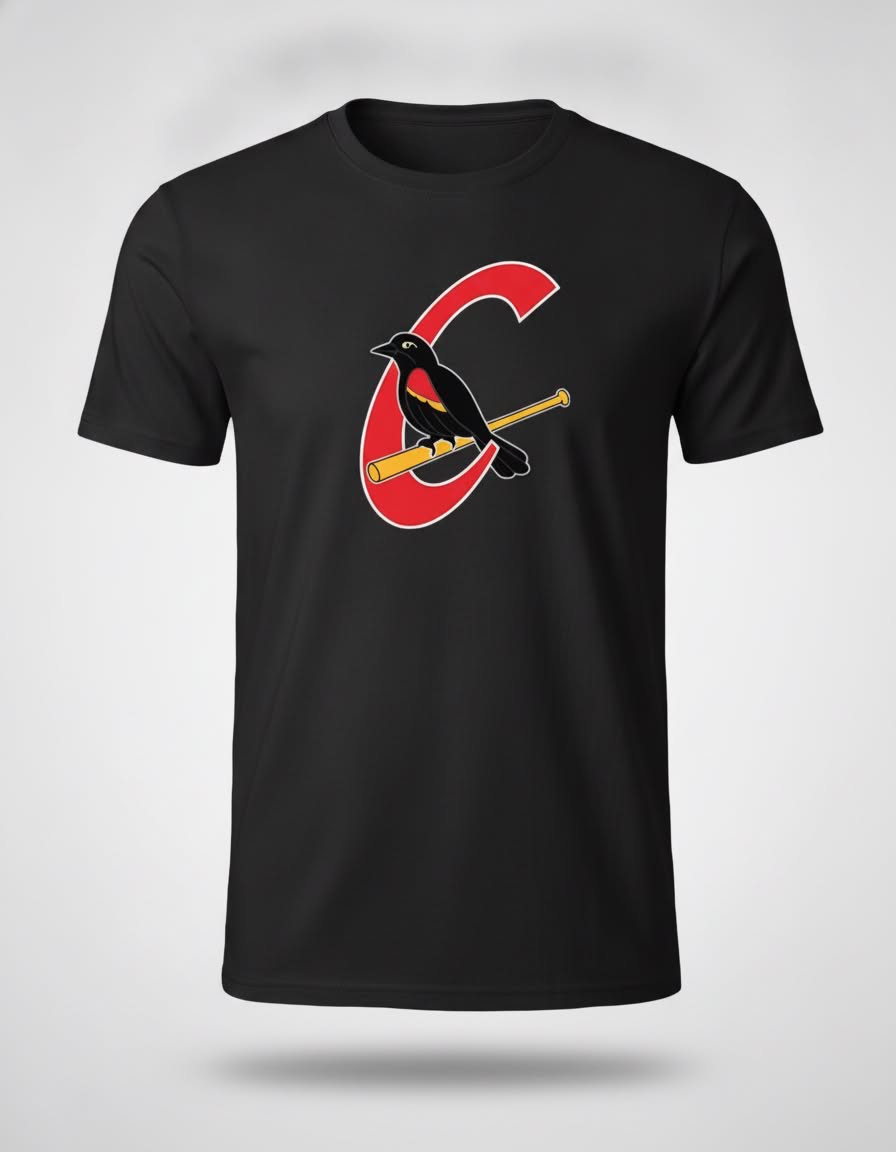 T-shirt Carouges