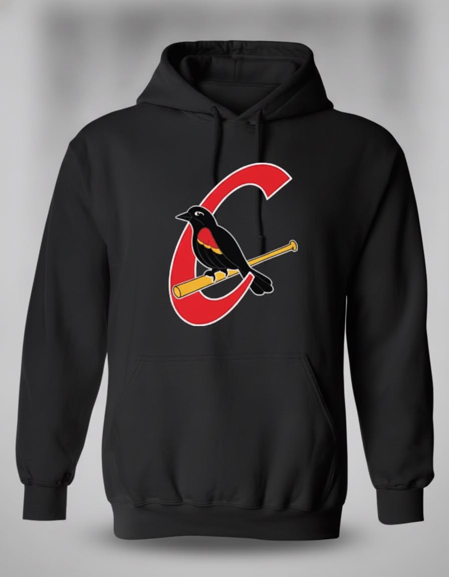 Hoodie Carouges