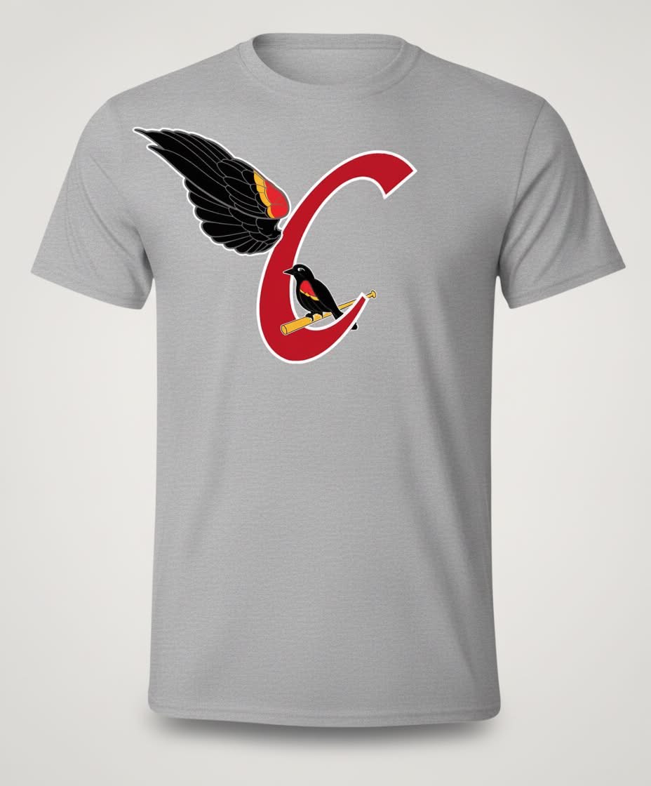 T-shirt Carouges
