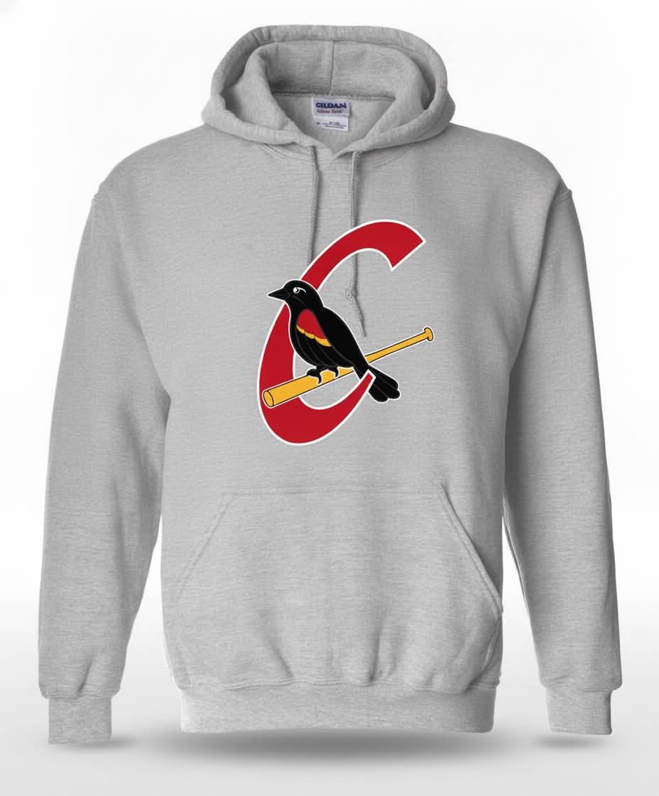 Hoodie Carouges avec logo alternatif