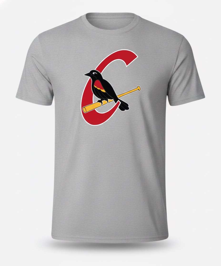 T-shirt Carouges