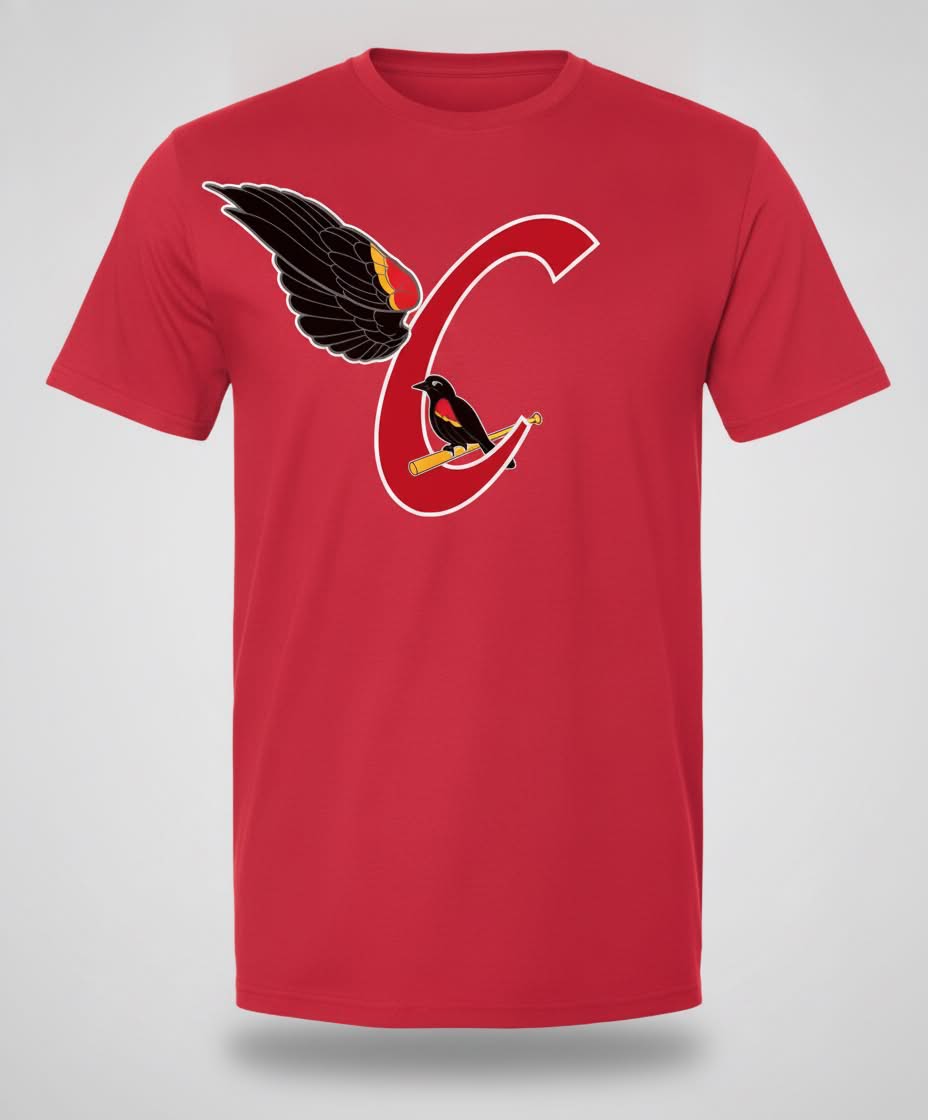 T-shirt Carouges