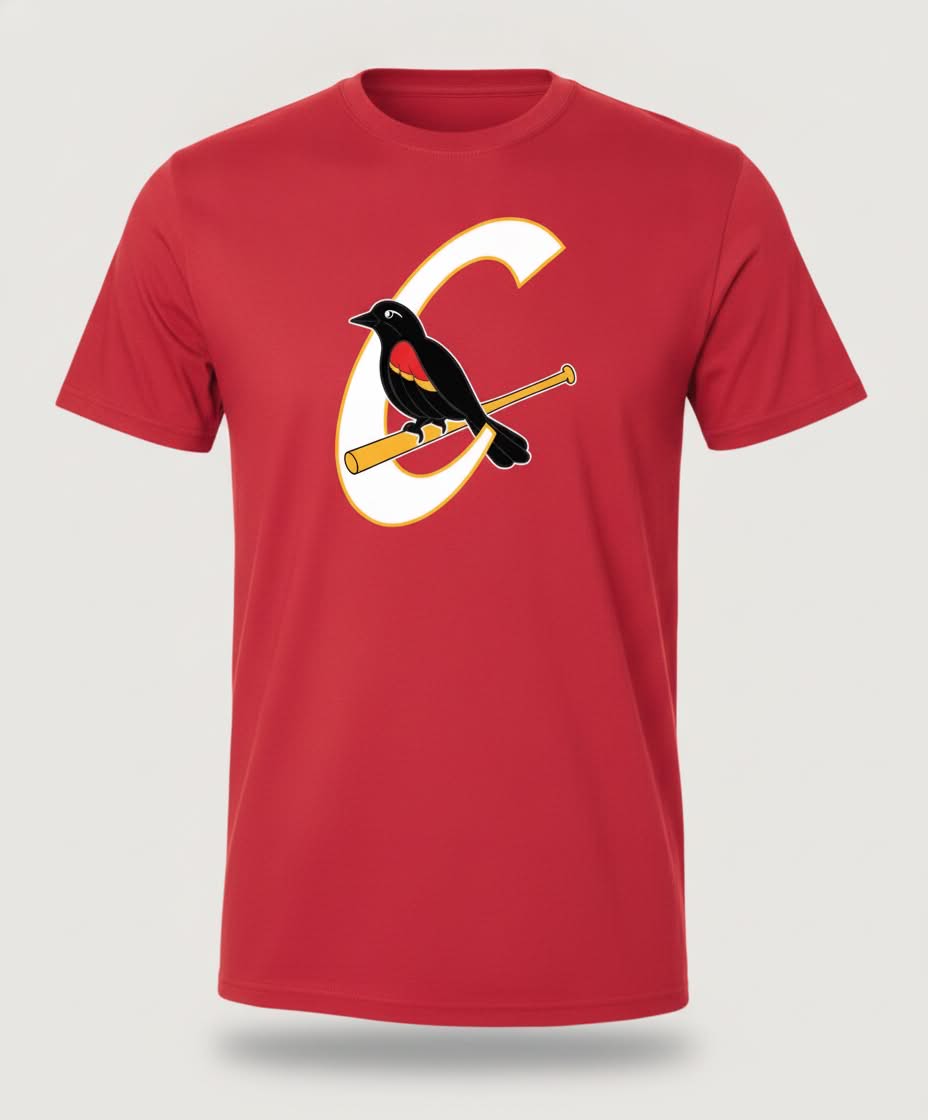 T-shirt Carouges