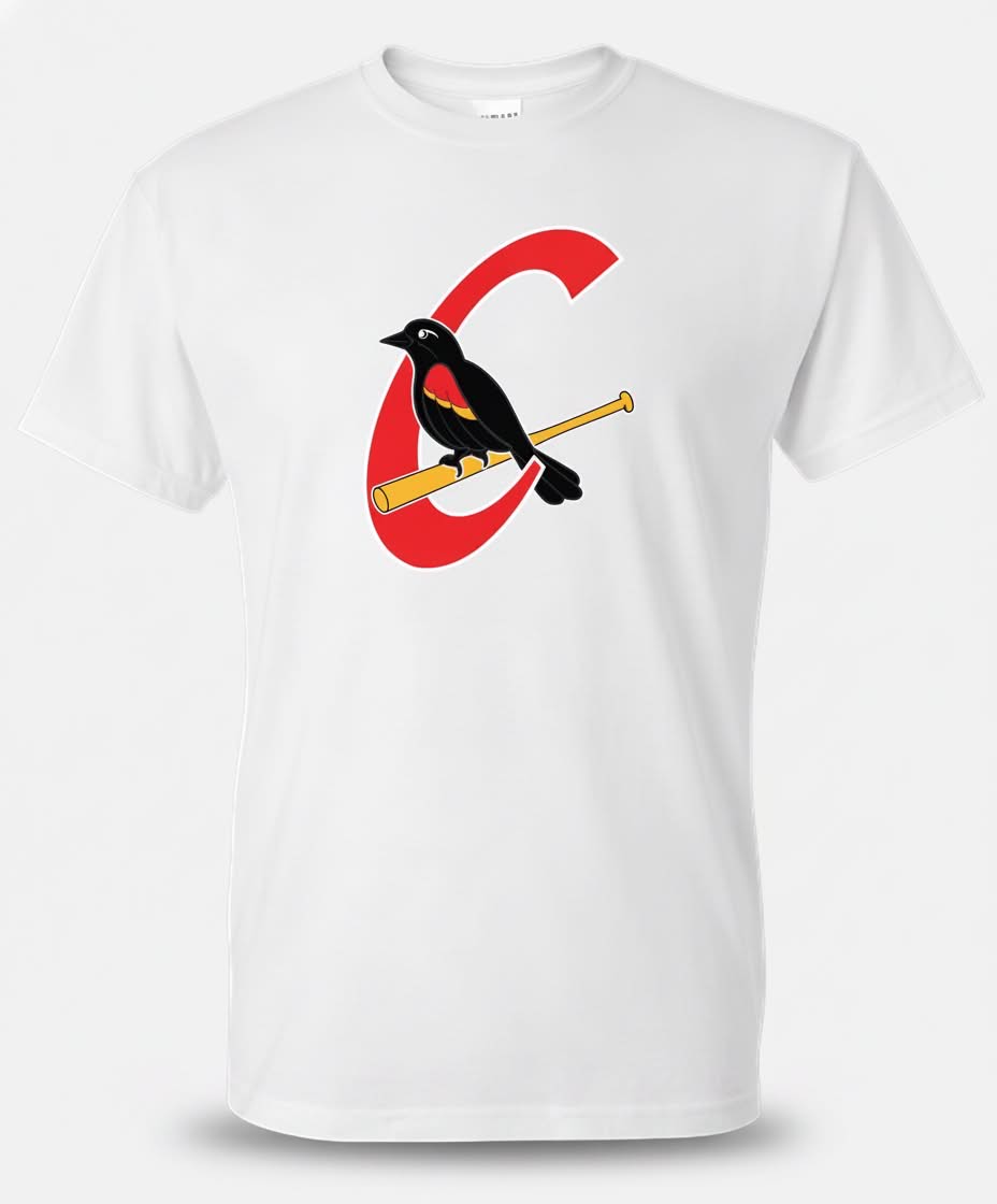 T-shirt Carouges