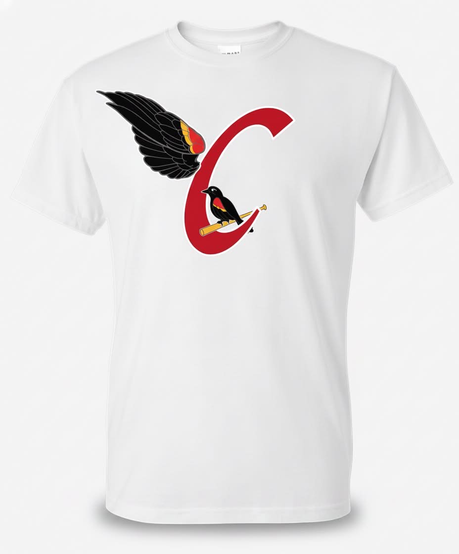 T-shirt Carouges