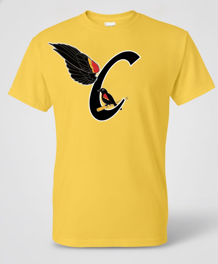 T-shirt Carouges