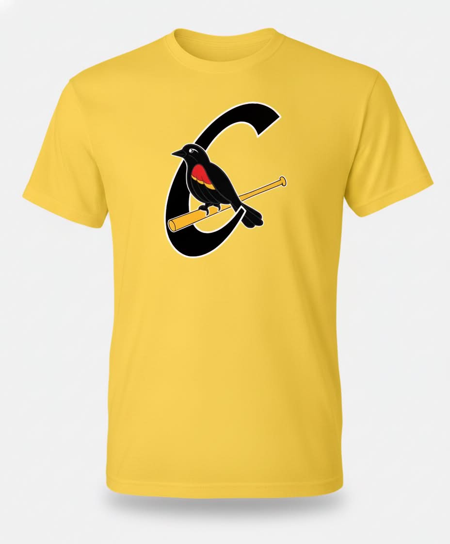T-shirt Carouges