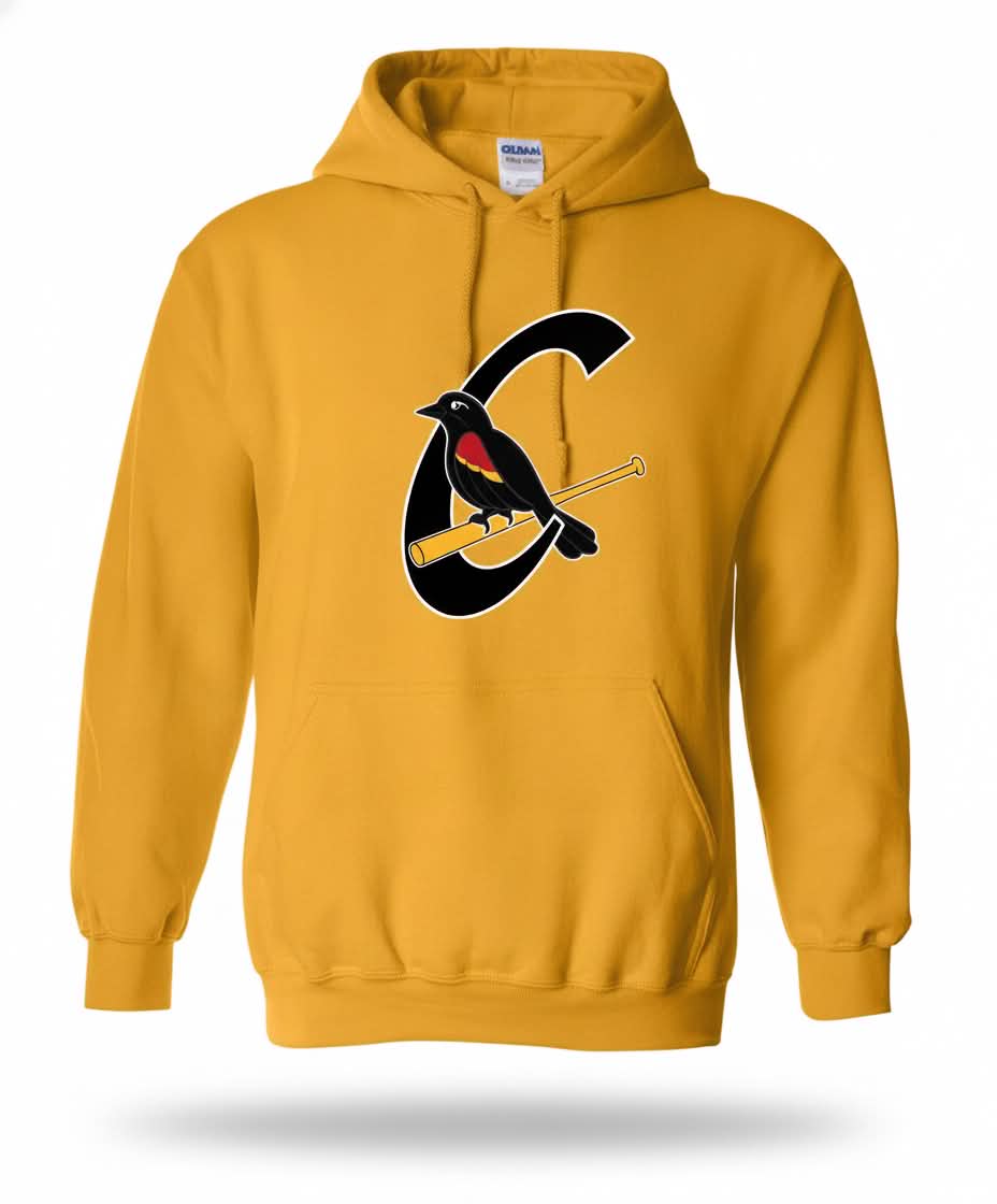 Hoodie Carouges avec logo alternatif